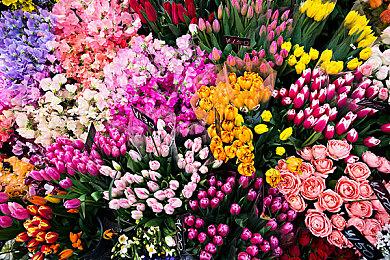 街机卡游《高达 A·B》新卡被质疑抄袭 万代承认并致歉